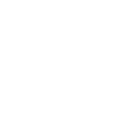 The Raise Project