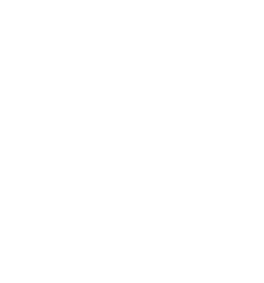 The Raise Project